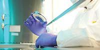 Tomorrow’s Genome Editing