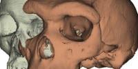 Why Expressive Brows Might Have Mattered in Human Evolution