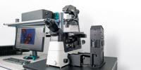 WITec Launches the alpha300 Ri—a New Inverted Confocal Raman Microscope