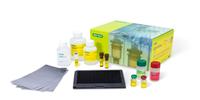 Bio-Rad Expedites Disease Biomarker Discovery and Drug Development with the Launch of Bio-Plex Pro Human Cytokine Screening Panel