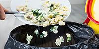 Changing Cities’ Food Systems to Help Reduce Carbon Emissions
