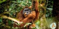 ESF Lists Top 10 New Species for 2018