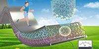 Flexible, Highly Efficient Multimodal Energy Harvesting