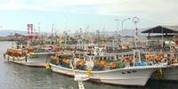 Mercury Rising: Are the Fish We Eat Toxic?