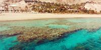 Red Sea Fungus Yields Leads for New Epilepsy Drugs