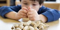 Scientists Develop a New Test to Safely and Accurately Diagnose Peanut Allergies