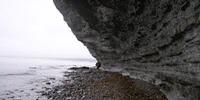 Scientists Find Widespread Ocean Anoxia as Cause for past Mass Extinction