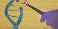 Taking CRISPR from Clipping Scissors to Word Processor