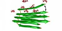 'Antifreeze' Molecules May Stop and Reverse Damage from Brain Injuries
