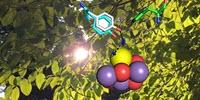 Making the Oxygen We Breathe, a Photosynthesis Mechanism Exposed