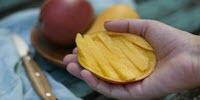 Mangoes Helped Improve Cardiovascular and Gut Health in Women
