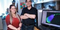 Men May Contribute to Infertility through Newly Discovered Part of Sperm