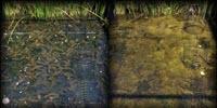 Nanomaterials Could Mean More Algae Outbreaks for Wetlands, Waterways