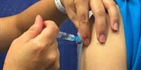 Penn Study Reveals New Therapeutic Target for Slowing the Spread of Flu Virus