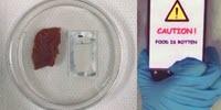 The Ultimate 'Smell Test': Device Sends Rotten Food Warning to Smartphones