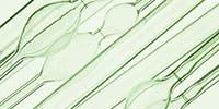 Using and Cleaning Capillary Viscometers