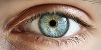 Artificial Intelligence Can Predict Your Personality—by Tracking Your Eyes