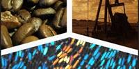 Bacterial Communities Use Sophisticated Strategy to Communicate over Long Distances