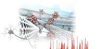 Brain Function Partly Replicated by Nanomaterials
