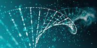 ClinGen Panel Evaluates Validity of Genes Reported to Be Associated with Brugada Syndrome