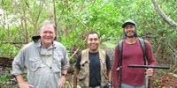 How Mangroves Help Keep the Planet Cool