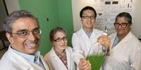 Researchers Engineer Bacteria to Create Fertilizer Out of Thin Air