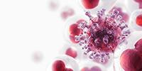Researchers Map 'Family Trees' of Acute Myeloid Leukemia