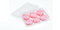 What to Look for in Cell Culture Vessels