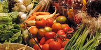 A Diverse Diet May Not Be the Healthiest One