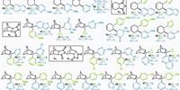 Best of Both Worlds: Combining Two Skeleton-Building Chemical Reactions