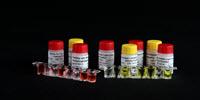 Binding Site Introduces New Borrelia & Chikungunya Glycoprotein Antigens