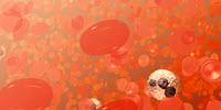 Doctors May Be Able to Enlist a Mysterious Enzyme to Stop Internal Bleeding