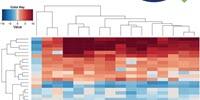 Epigenetic Markers of Ovarian Cancer