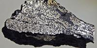 Geologists Uncover New Clues about Largest Mass Extinction Ever
