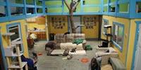 Illinois Study Pioneers Humane Feline Research Facility