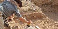 Laziness Helped Lead to Extinction of Homo Erectus