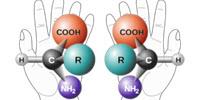 Missouri S&T Chemist Rolls the Dice to Better Identify Chiral Molecules in Drugs