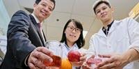 NTU Scientists Discover Natural Plant-Based Food Preservative
