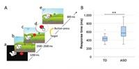 Potential Biomarker for Autism
