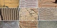 Beach Sand Ripples Can Be Fingerprints for Ancient Weather Conditions