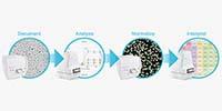 How Normalizing Biological Data Works