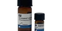New Antifade Mounting Media from Vector Laboratories Enhances Immunofluorescence Applications