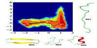 New Method Speeds up Simulations, Giving New Insights into Protein Folding