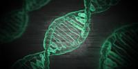 Overall Burden of Tumor Genome Changes Can Predict Patient Outcomes