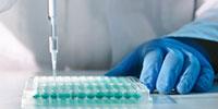 What to Know When Choosing Microplates