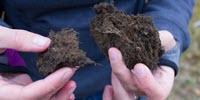 A Biofuel for Automated Heat Generation