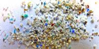 Are Microplastics in the Environment Truly Harmful?