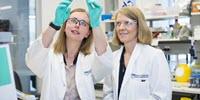 Discovery Paves Way for Improved Ovarian Cancer Care