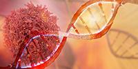 DNA and Protein Duo Detect Cancer in the Next Generation of Liquid Biopsies