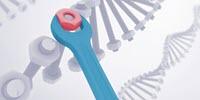 Genetic Disease Healed Using Genome Editing
